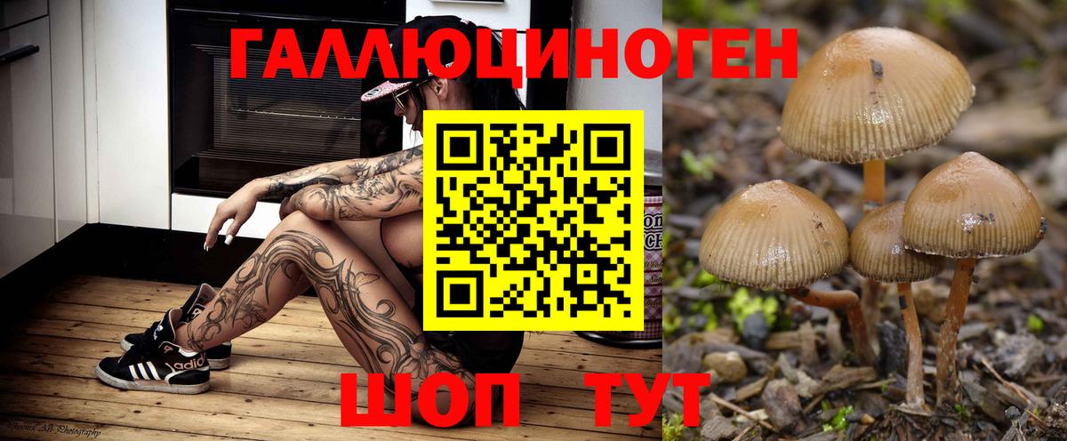 Галлюциногенные грибы мицелий  магазин    Маркс  Вход с VPN 